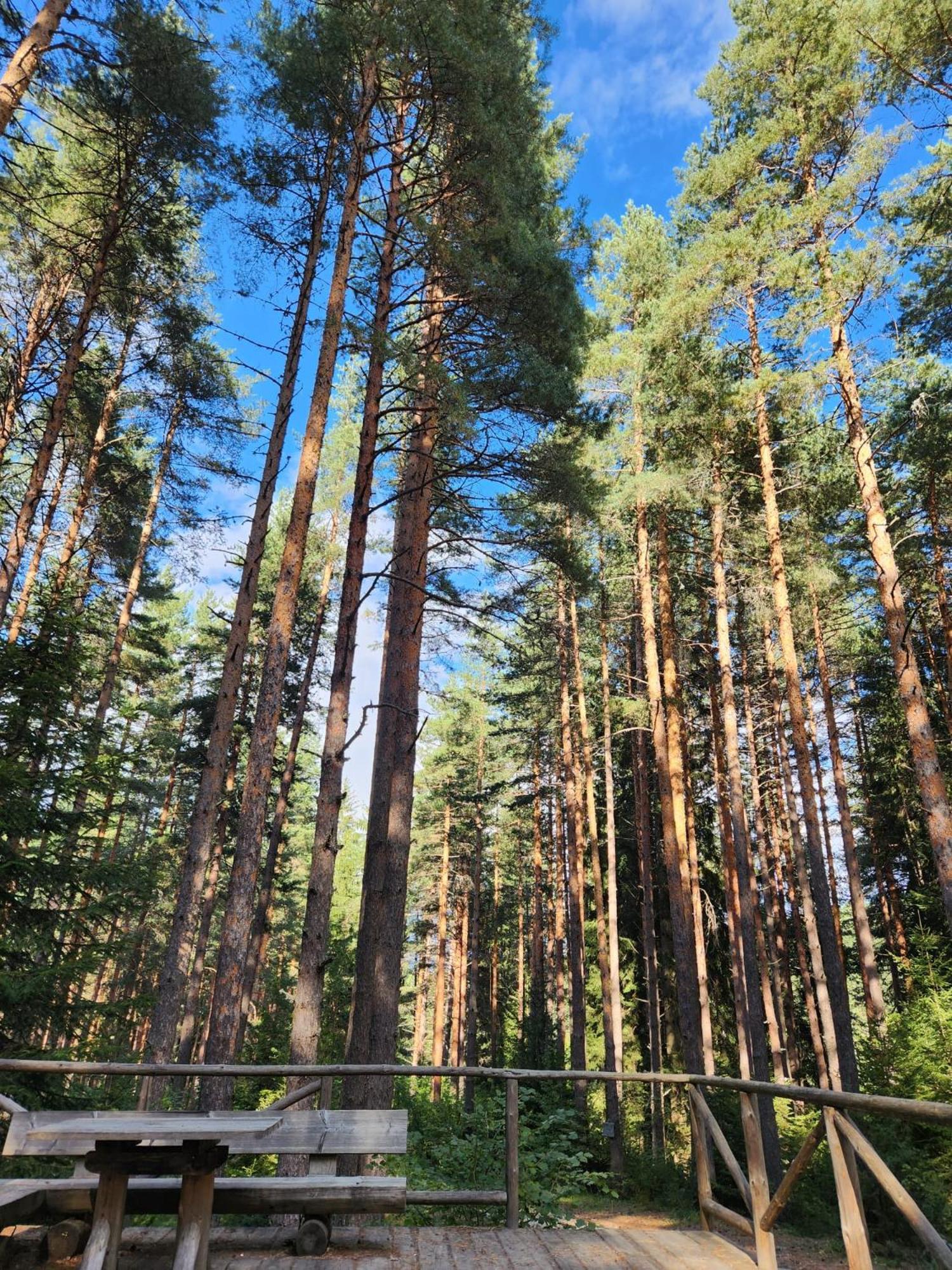 One Bedroom Apartment Pirin Lodge Бансько Екстер'єр фото